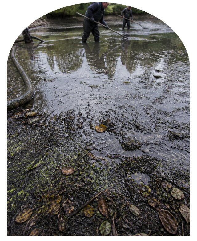 Очистка пруда в Курчатове от ила мусора и водорослей с вывозом